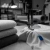 Supima, Pima, égyptien : trois appellations de coton, trois promesses et une seule qui se vérifie à l'étiquette